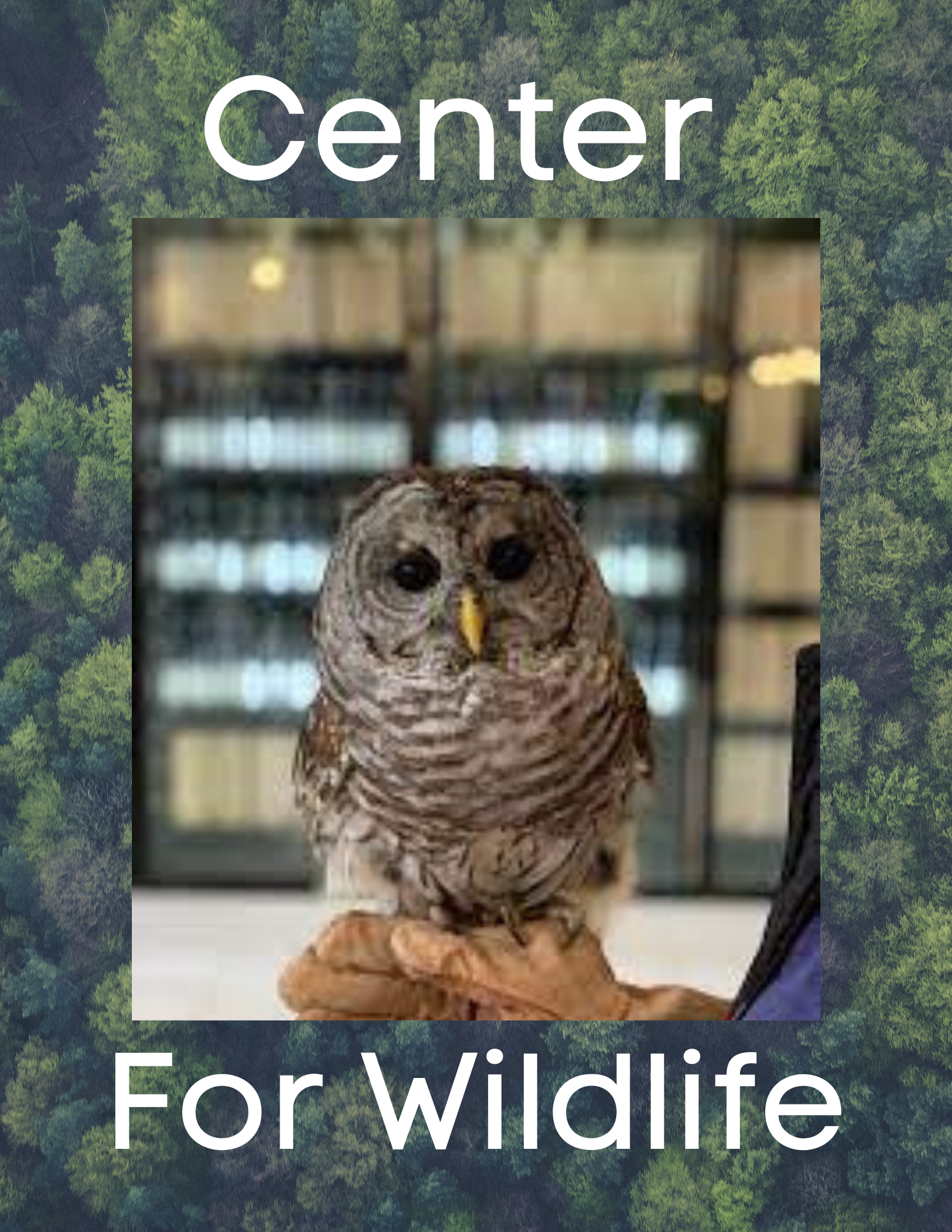 Center for Wildlife Poster