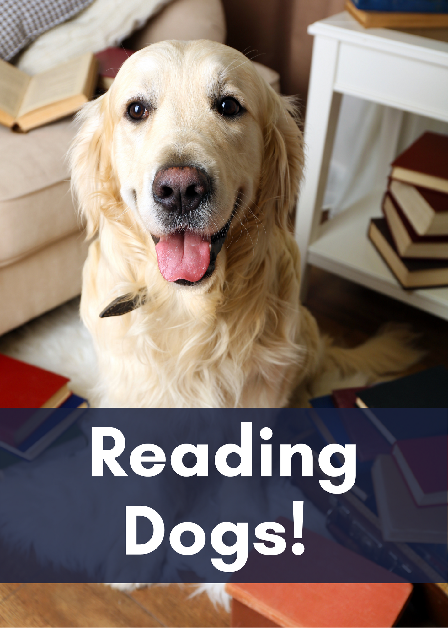 Reading Dogs Image