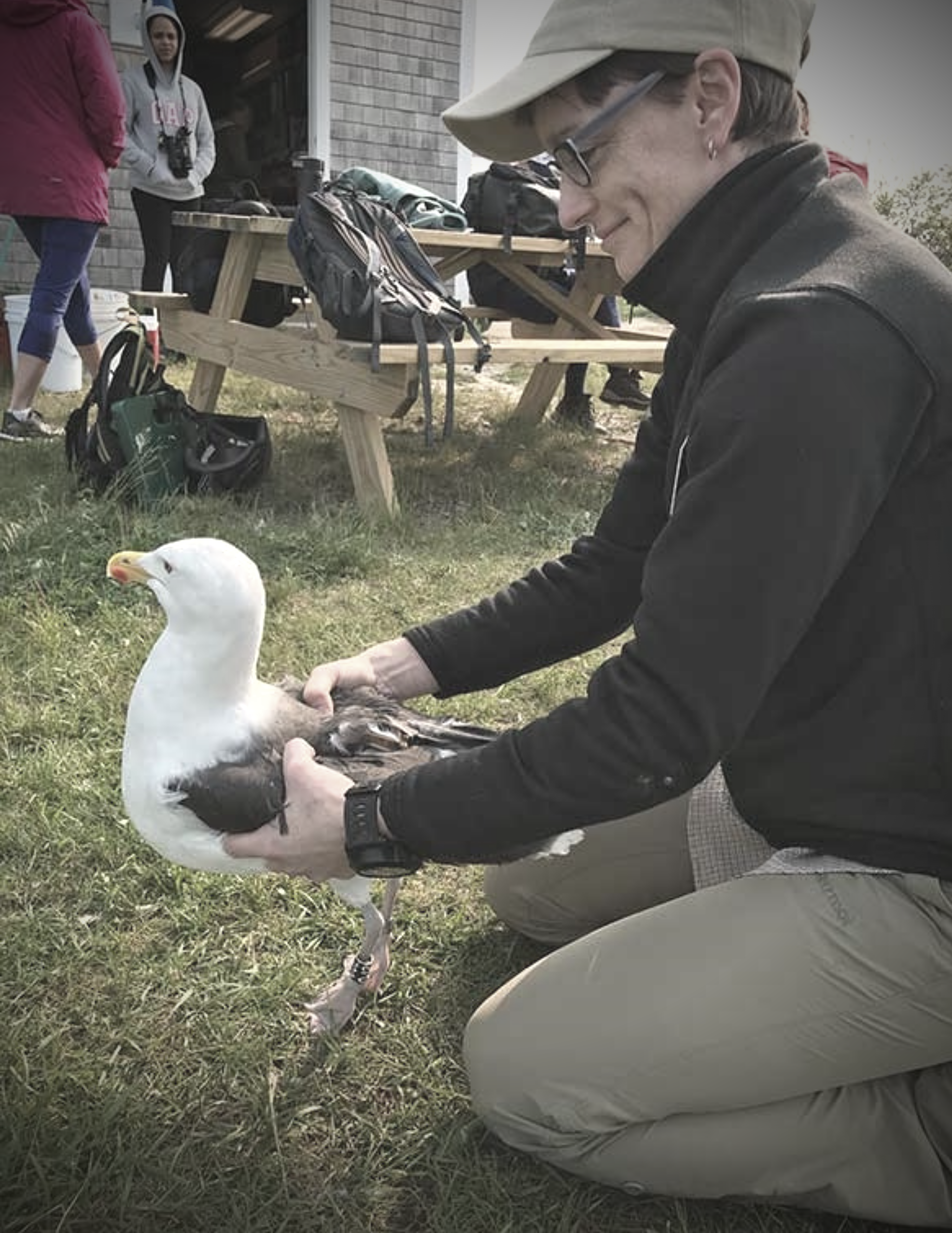 Photo of scientist with gull