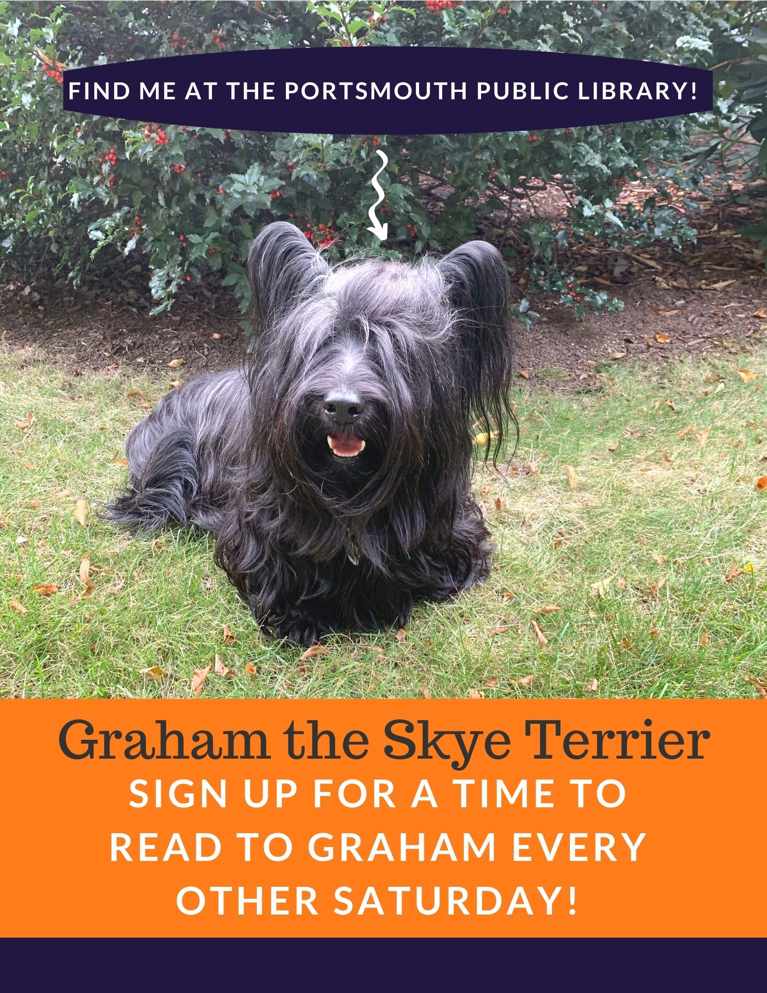 Graham the Skye Terrier