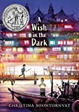 cover of A Wish in the Dark