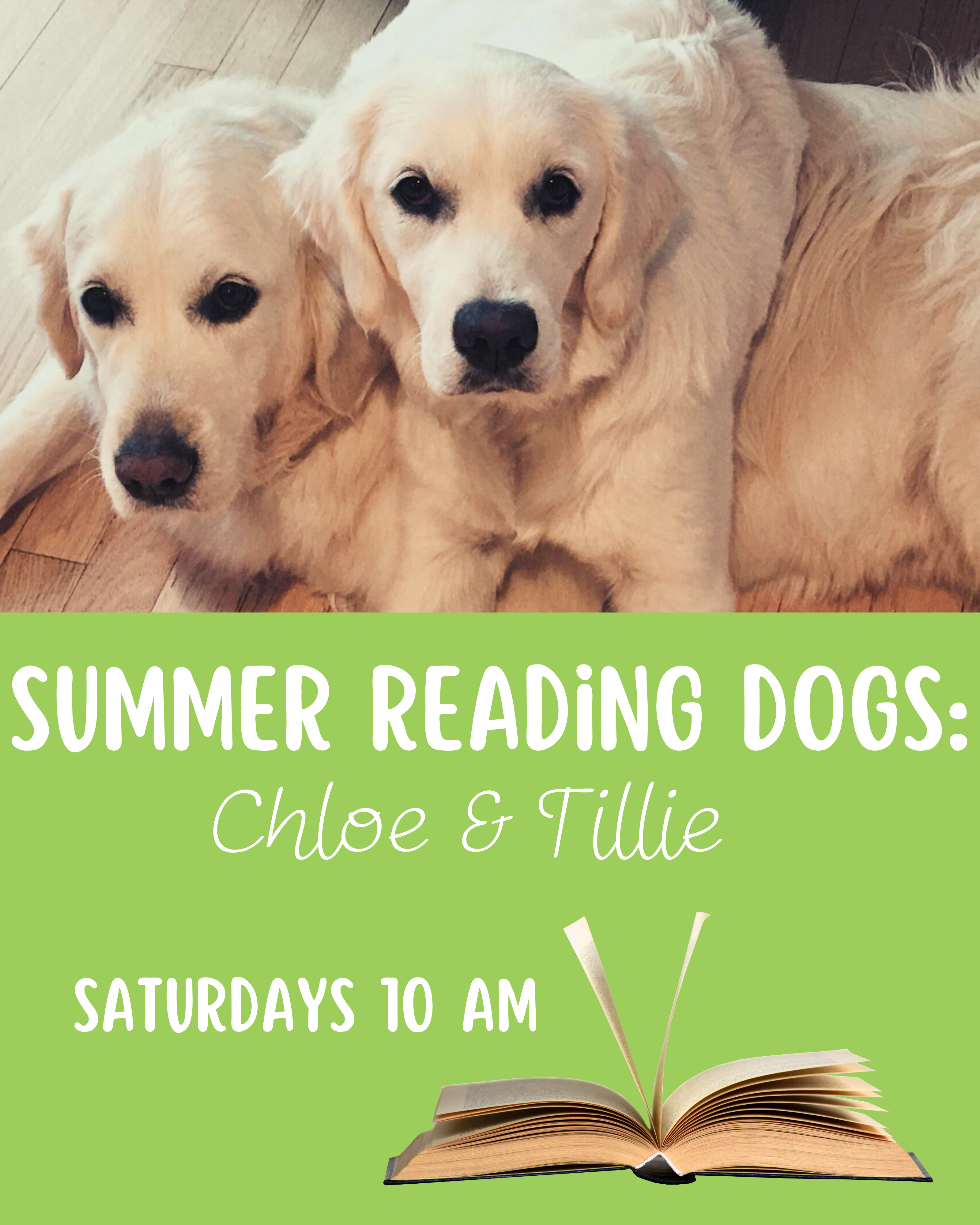 Photograph of two white golden retrievers accompanied by text: SUMMER READING DOGS: Chloe & Tillie SATURDAYS 10 AM
