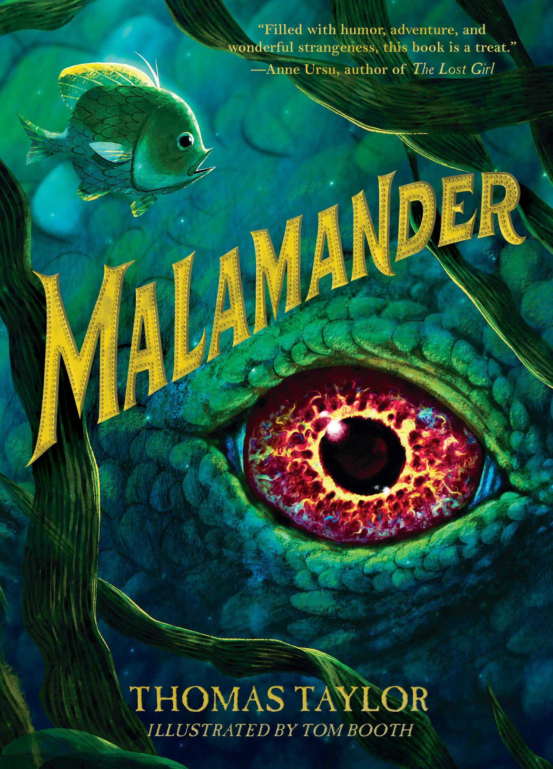 Malamander Book Cover 