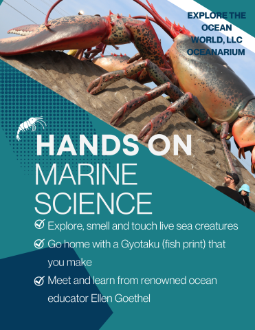 lobster image, hands on marine science