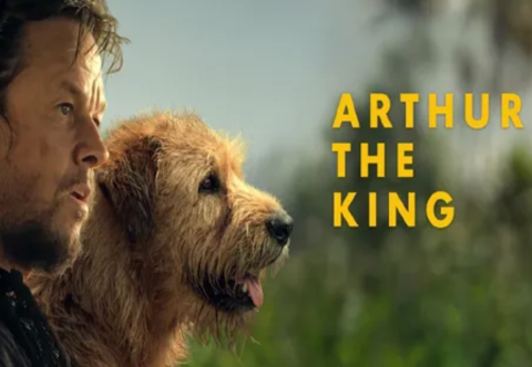 Mark Wahlberg and stray dog side profile in nature. Arthur the King. 