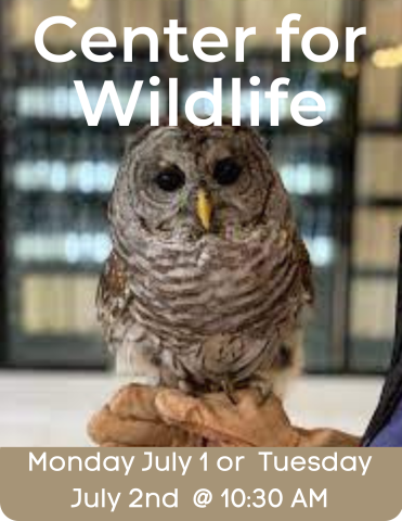 Center for Wildlife July 1 & 2 10:30 AM