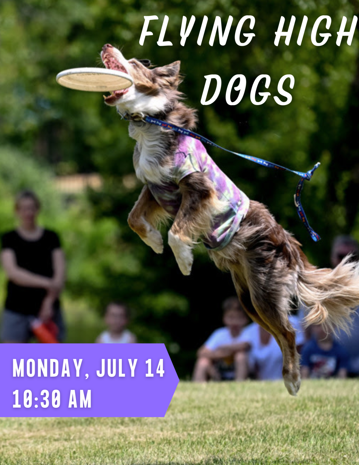 Flying High Dogs Image Monday July 14 at 10:00 AM