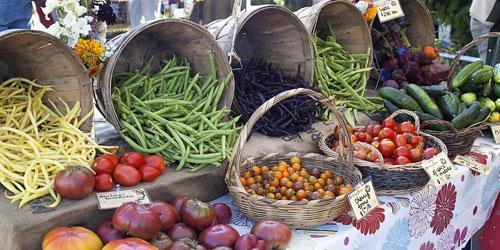 Farmers Market with fresh vegetables spilling out of bushel barrels on a table